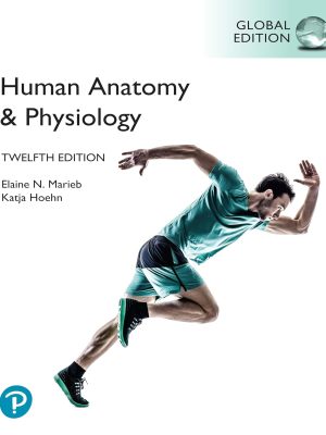 Human Anatomy and Physiology 12th Edition Test Bank cover