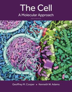The Cell: A Molecular Approach 9th Edition Test Bank cover
