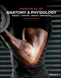 Principles of Anatomy and Physiology 16th Edition Test Bank cover